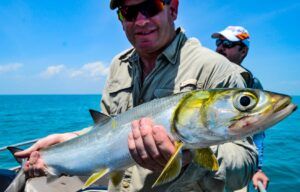 Darwin Sport Fishing Charters